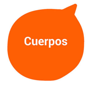 Cuerpos